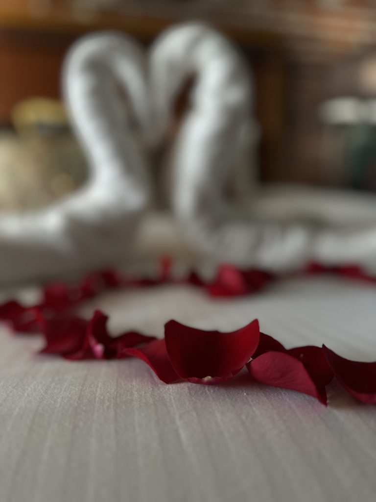 Red rose petals on a bed with two heart towel swans in the background.